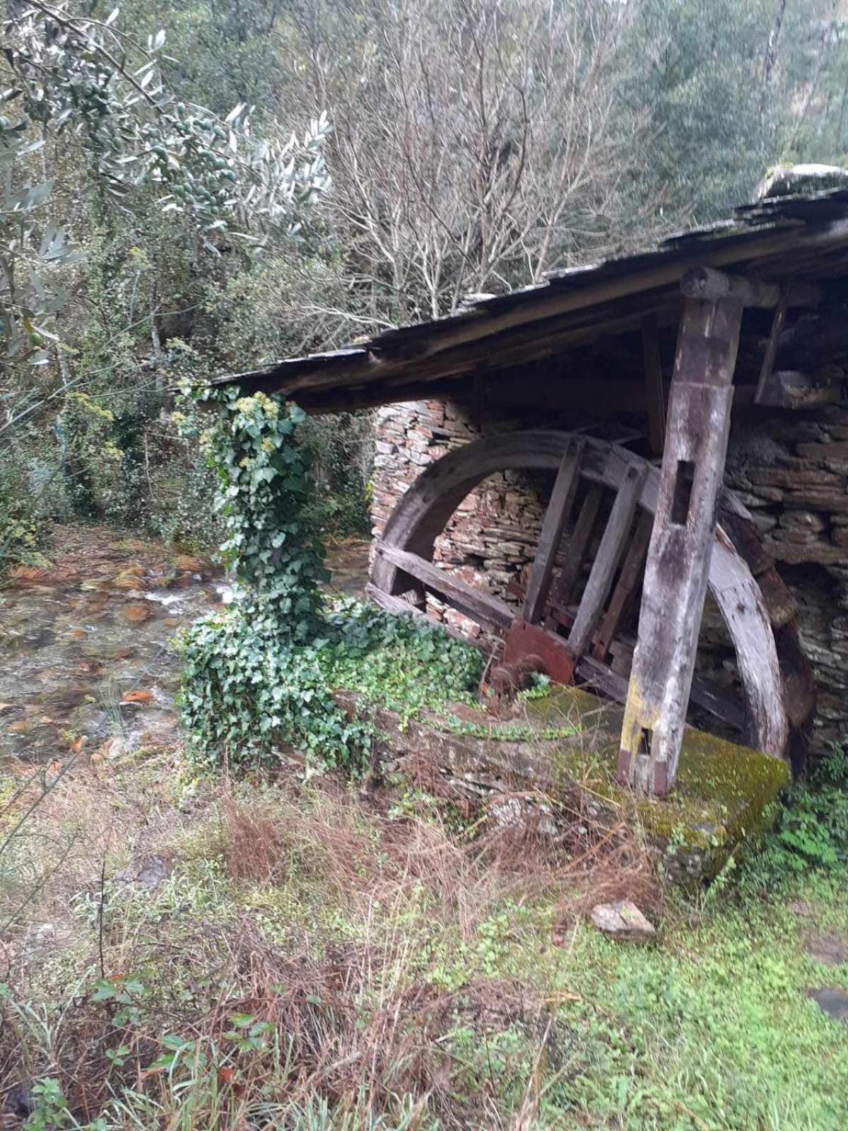 Cantinho Casal Do Rei Seia Zewnętrze zdjęcie